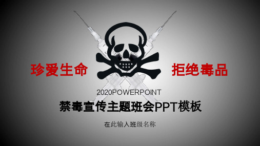 黑色简约远离毒品主题班会PPT教学讲座课件