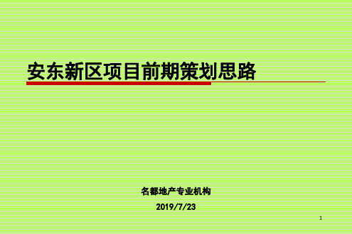 安阳安东新区的项目前期的的策划思路139P7月共140页文档