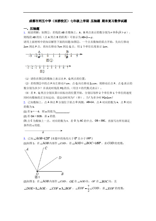 成都市列五中学(双桥校区)七年级上学期 压轴题 期末复习数学试题