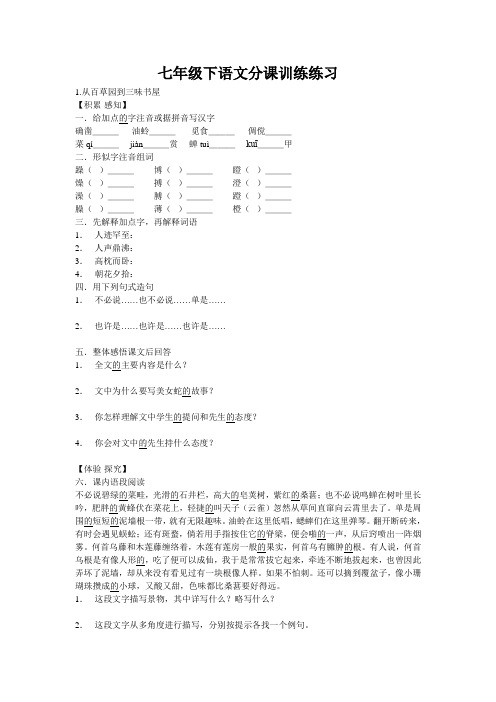 人教版七年级下语文分课训练练习(全册)