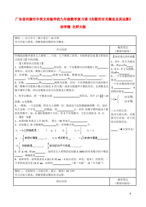 广东省河源市中英文实验学校九年级数学复习课《实数的