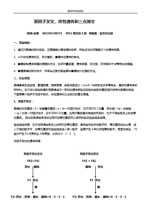 双因子杂交、伴性遗传和三点测交遗传实验报告