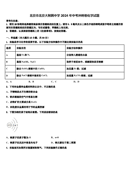 北京市北京大附属中学2024届中考冲刺卷化学试题含解析