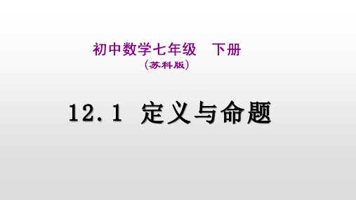 2020-2021学年苏科版数学七年级下册-12.1 定义与命题课件