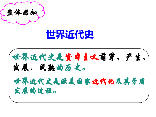 江苏省无锡市前洲中学人教部编版九年级历史下册课件：世界近代史复习(共44张PPT)