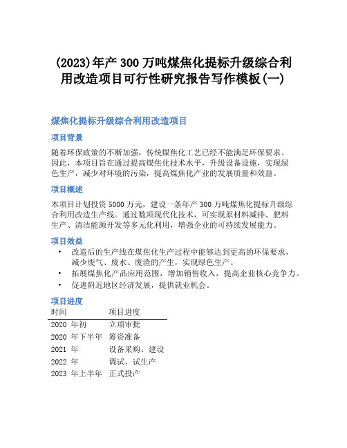 (2023)年产300万吨煤焦化提标升级综合利用改造项目可行性研究报告写作模板(一)