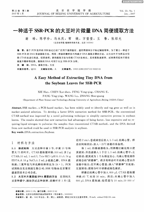 一种适于SSR-PCR的大豆叶片微量DNA简便提取方法