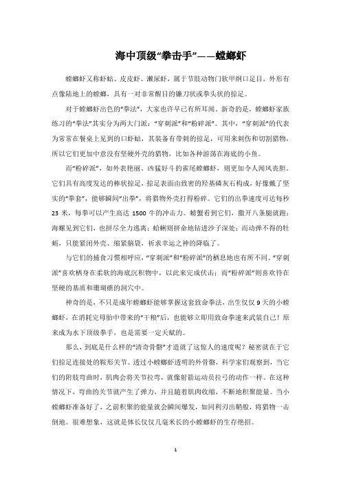 海中顶级“拳击手”——螳螂虾