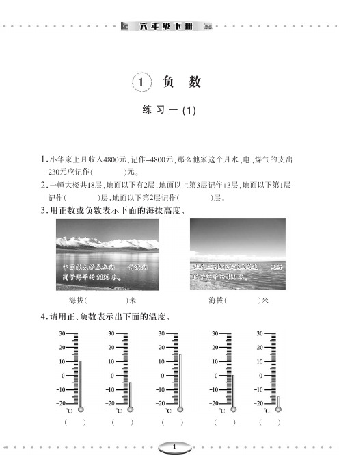 (济宁地区专用)智慧学习 人教版 小学 数学 六年级·下册(明天出版社提供)