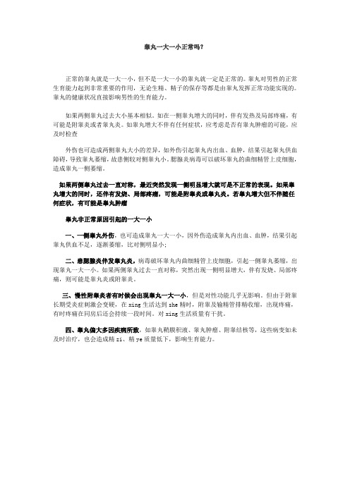 睾丸