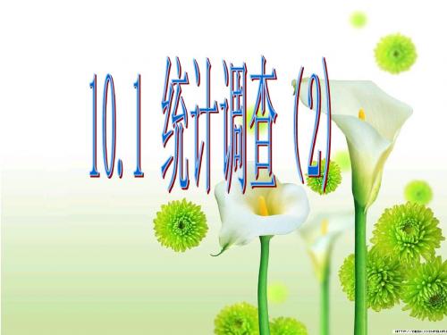 10.2统计调查(二)