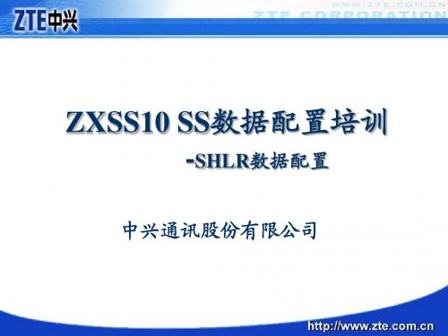 ZXSS10 SS数据配置培训-SHLR数据配置