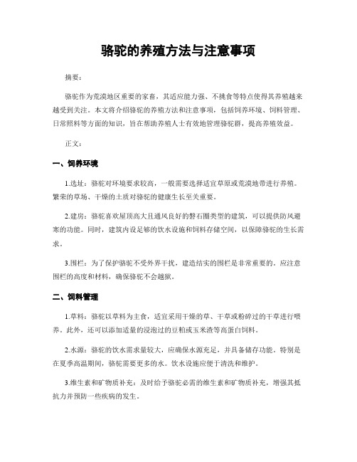 骆驼的养殖方法与注意事项