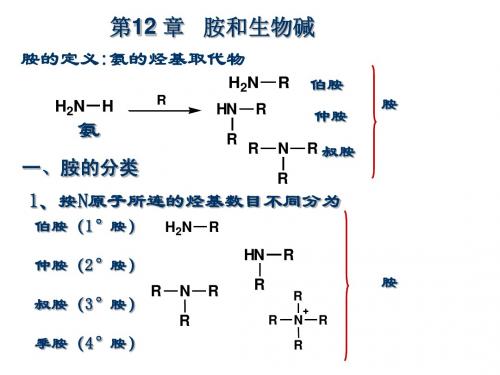 本科五年制 基础 有机化学第12章 胺