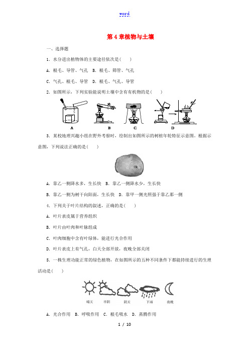 八年级科学下册 第四章 植物与土壤检测卷 (新版)浙教版-(新版)浙教版初中八年级下册自然科学试题