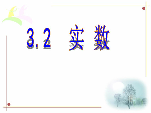 浙教版初中数学七年级上册 3.2  实数  课件  (6)