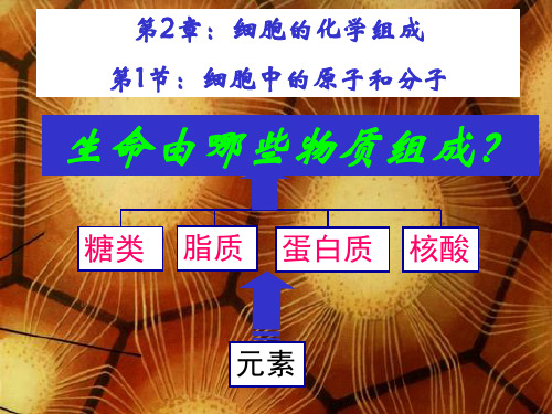 苏教版高一生物必修一2.1第1节：细胞中的原子和分子(共28张PPT)