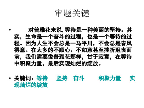 美丽的坚持