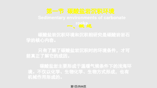 碳酸盐岩沉积相PPT课件