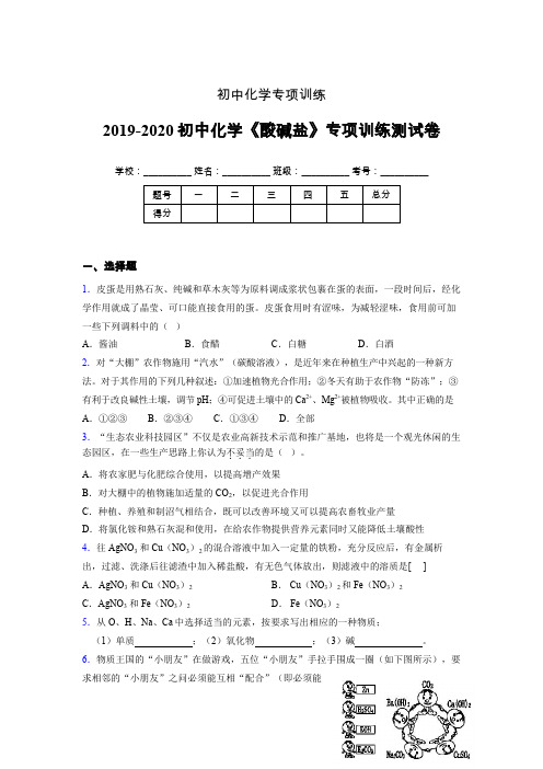 2019-2020学年初中化学《酸碱盐》专项训练模拟测试(含答案) (288)