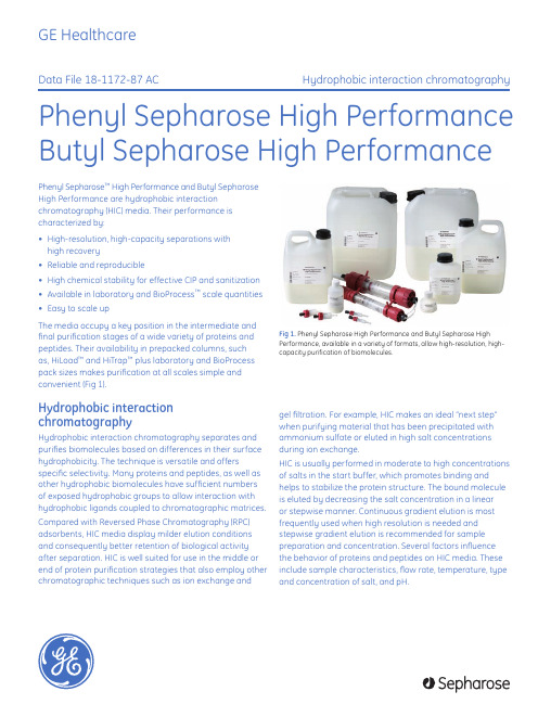 Phenyl Sepharose High Performance