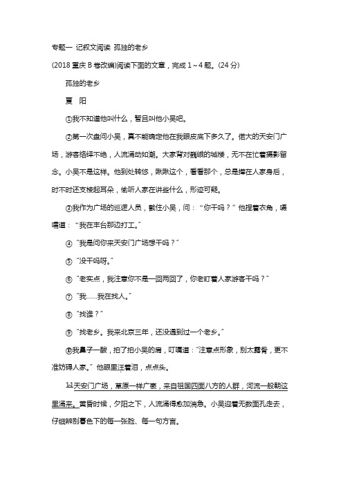 中考语文总复习第三部分现代文阅读一记叙文阅读孤独的老乡_32