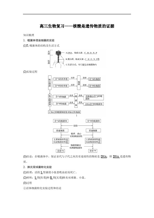 高三生物复习——核酸是遗传物质的证据