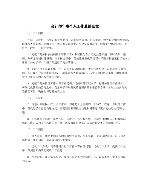 会计师年度个人工作总结范文