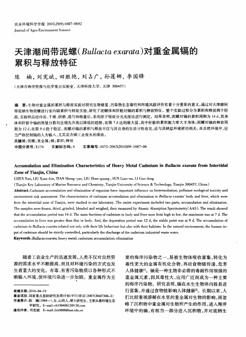 天津潮间带泥螺(Bullacta exarata)对重金属镉的累积与释放特征