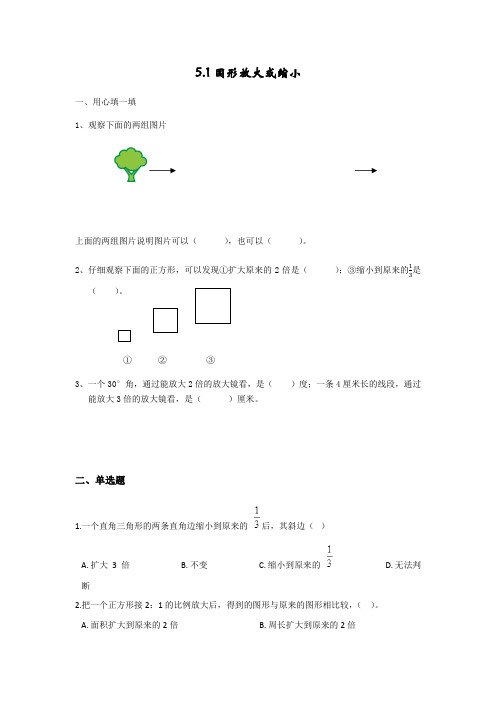 【小学数学】六年级数学上册试题 一课一练5.1图形放大或缩小 西师大版(含答案)