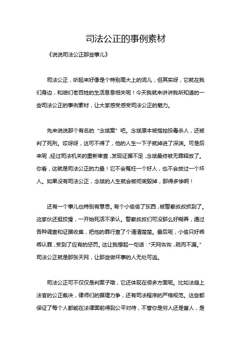 司法公正的事例素材