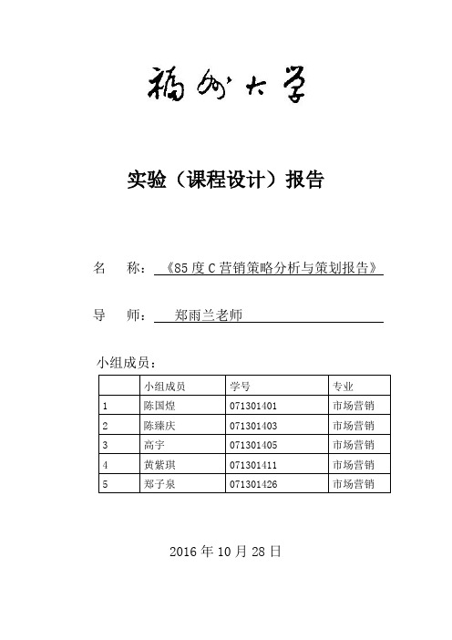 营销策略分析与策划报告