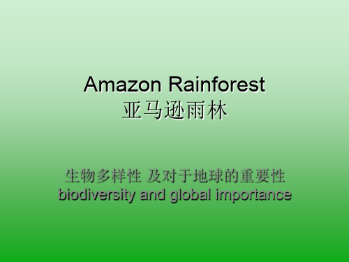 亚马逊热带雨林-生物多样性及其重要性共34页PPT资料