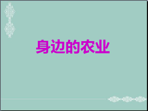 五年级上册品德课件-1.1《粒粒皆辛苦 身边的农业》 ｜鲁人版 8 (共26张PPT) PPT