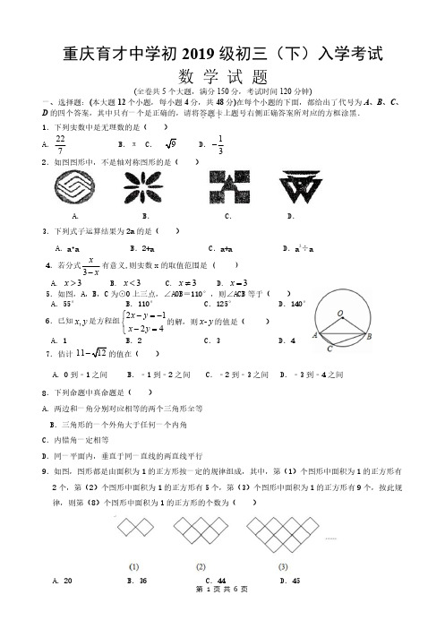 育才中学九下入学考试卷