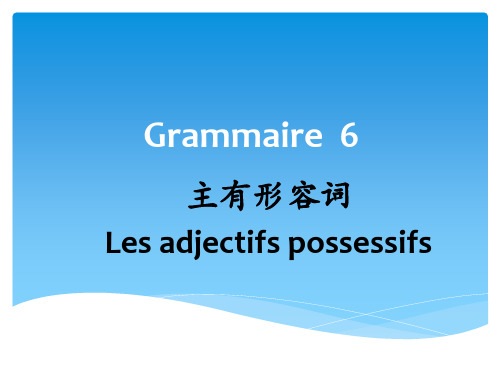 法语语法6.主有形容词