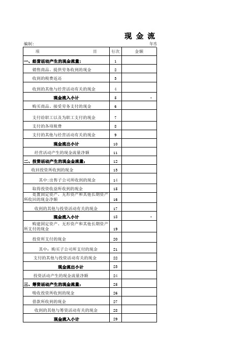 现金流量表空白表格