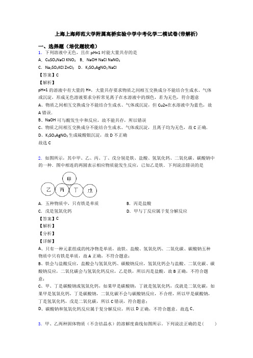 上海上海师范大学附属高桥实验中学中考化学二模试卷(带解析)