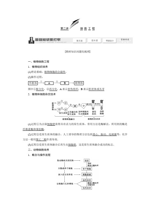 高三人教版生物一轮教师用书 选修3 第2讲 细胞工程