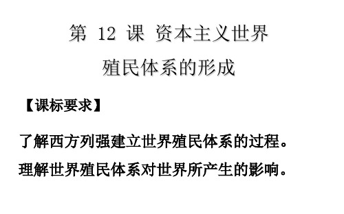 人教统编版高中历史《资本主义世界殖民体系的形成》PPT下载1