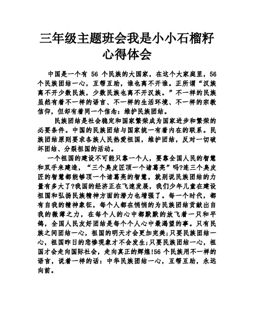 三年级主题班会我是小小石榴籽心得体会