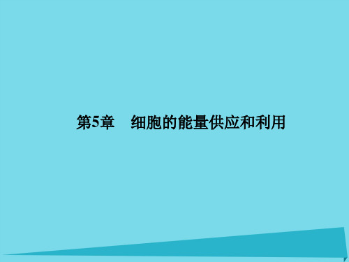 2017届高考高考生物一轮复习 第五章 细胞的能量供应和利用.