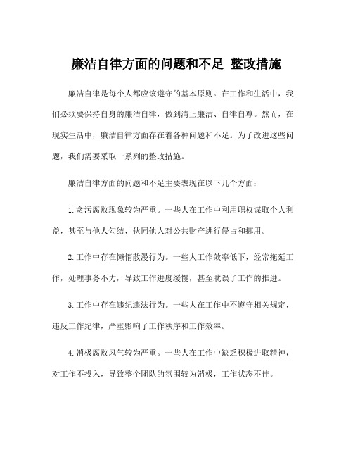 廉洁自律方面的问题和不足 整改措施