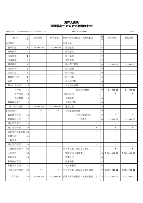 小企业资产负债表