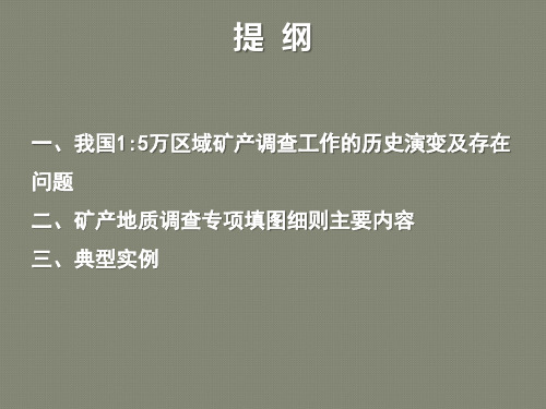 1：50000矿产地质调查专项填图工作指南