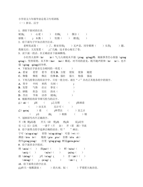 小学语文六年级毕业总复习专项训练【范本模板】