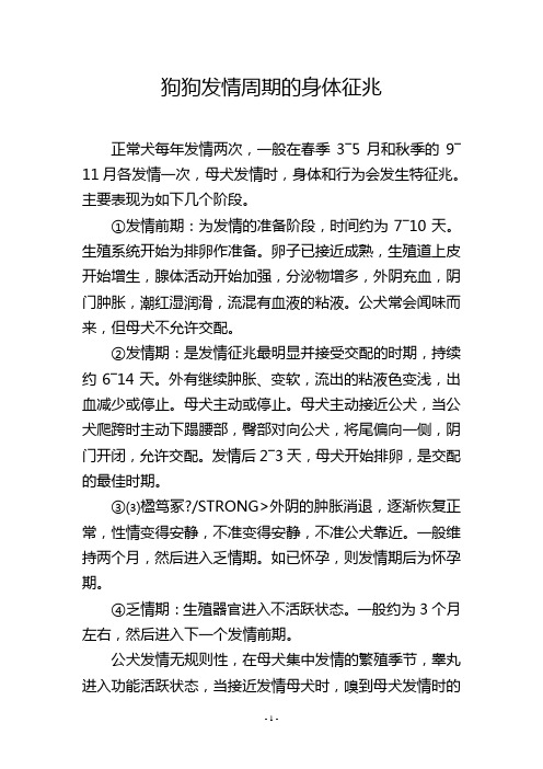 狗狗发情周期的身体征兆