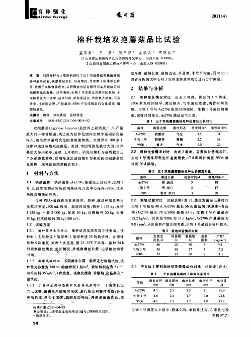 棉秆栽培双孢蘑菇品比试验