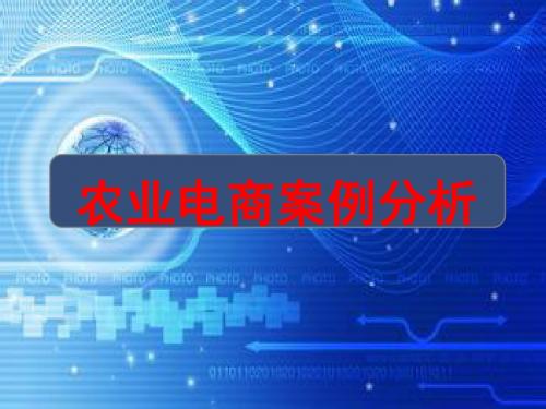 2016年最新互联网+农村电子商务案例分析