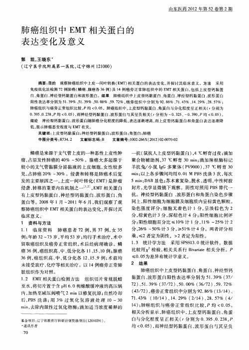 肺癌组织中EMT相关蛋白的表达变化及意义